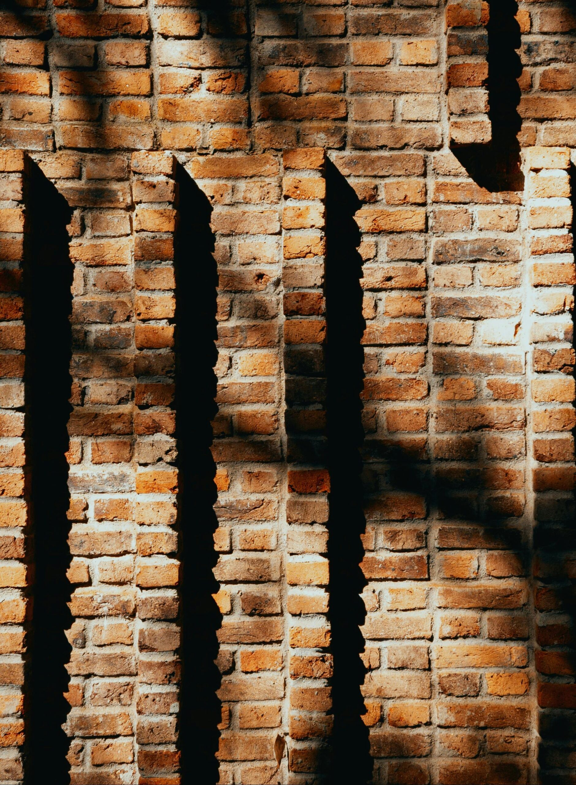 pexels-oandremoura-33252320